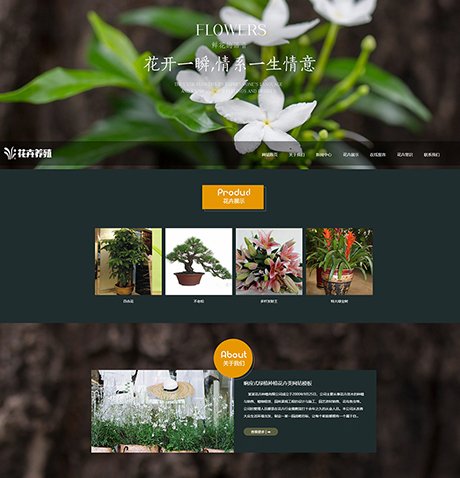 响应式绿植种植花卉类网站